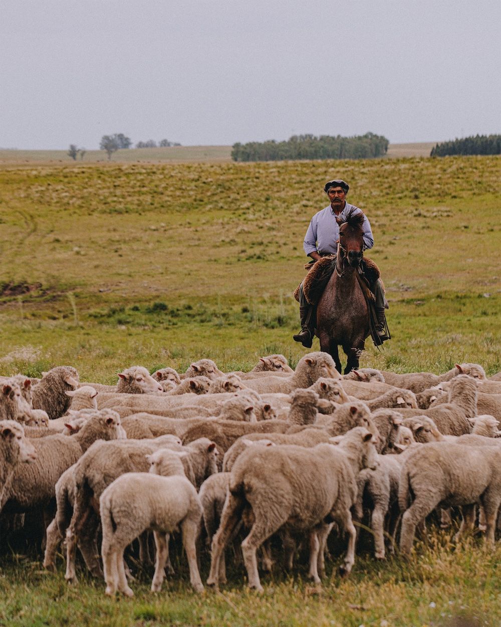 Asket x NATIVA™ Regenerative Wool