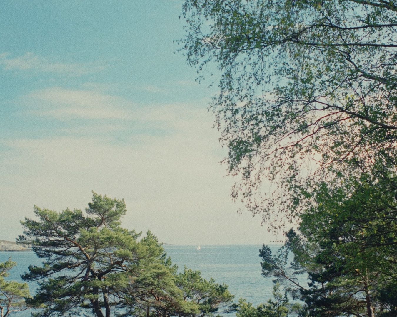 Women's Summer