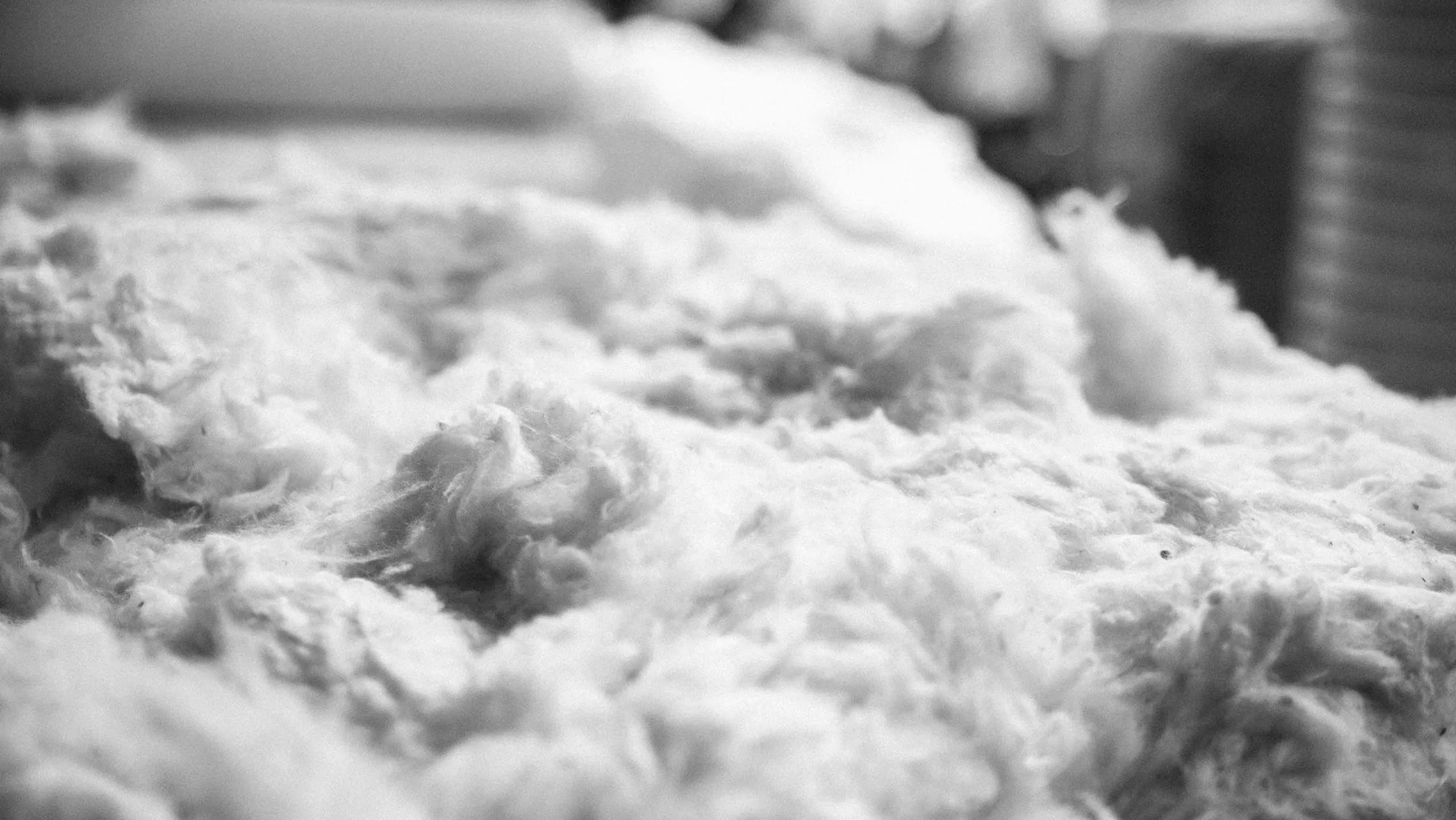 Cotton Care